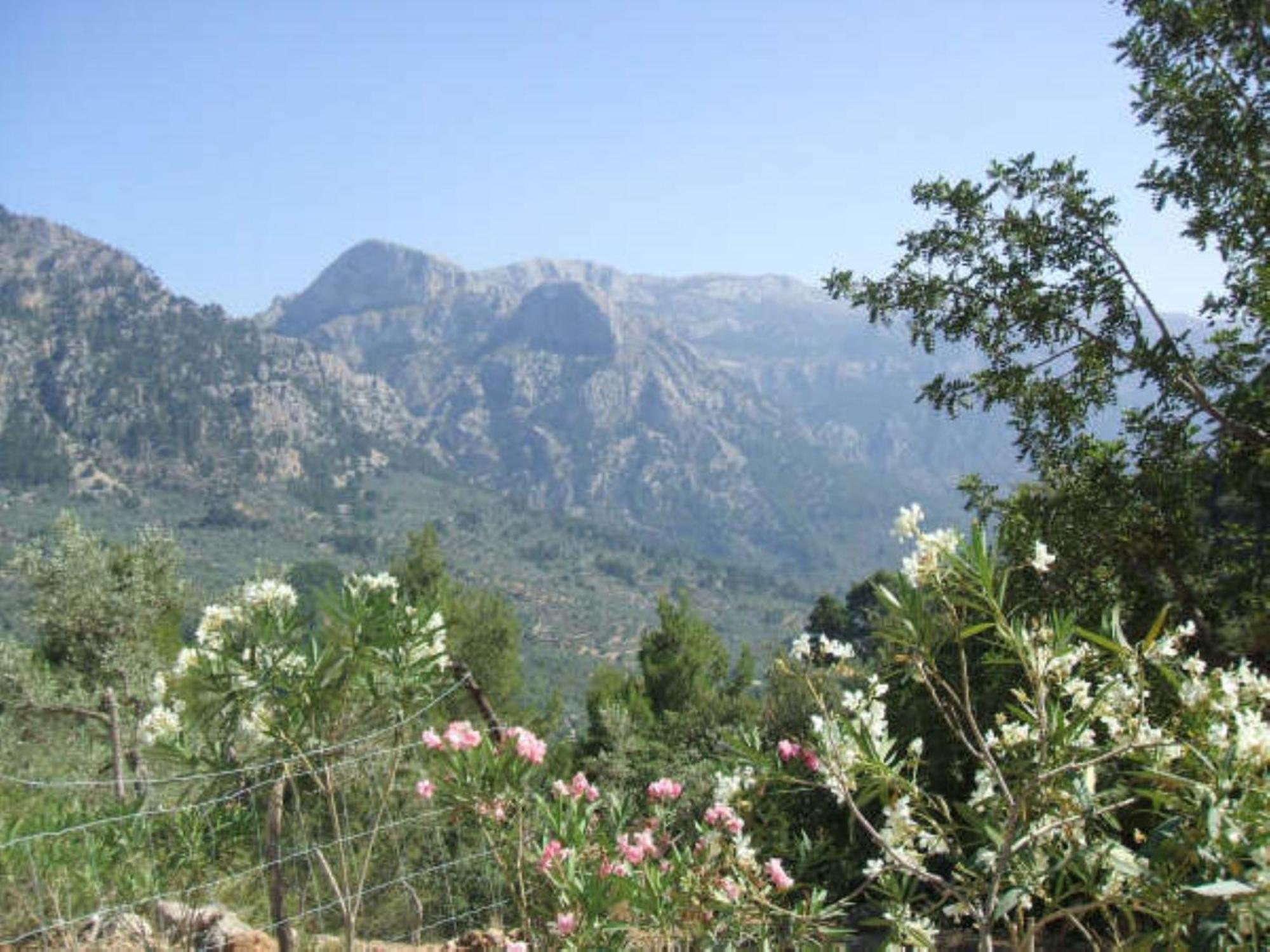 Casita De Montana Cerca Del Mar ξενώνας Fornalutx Εξωτερικό φωτογραφία
