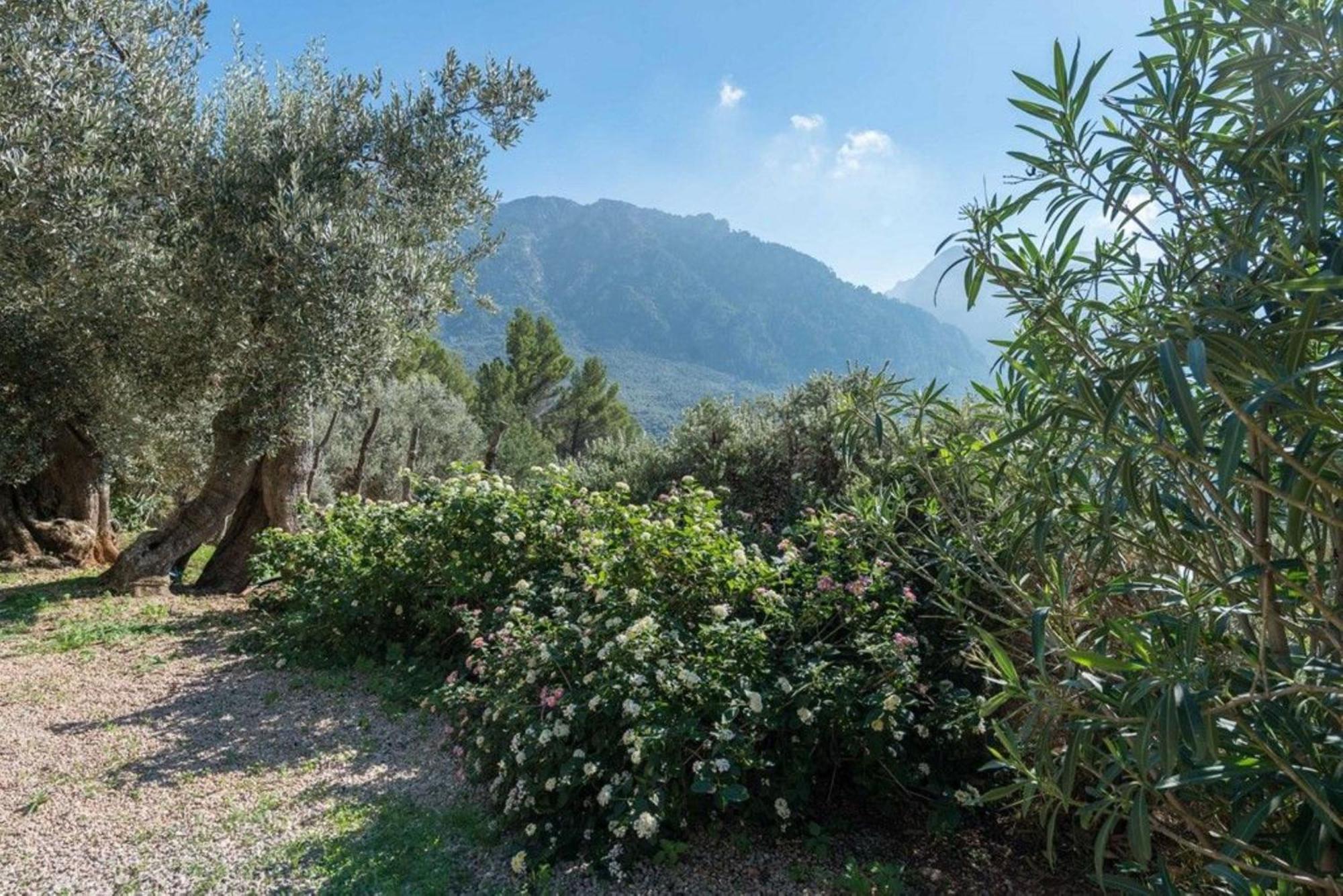 Casita De Montana Cerca Del Mar ξενώνας Fornalutx Εξωτερικό φωτογραφία
